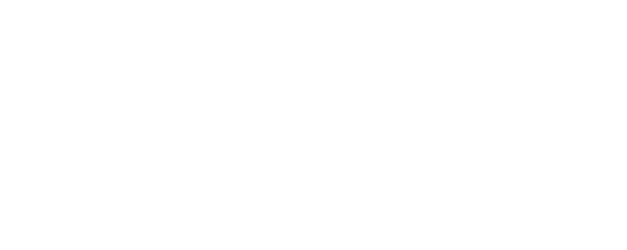 Spintor Cebo insecticida